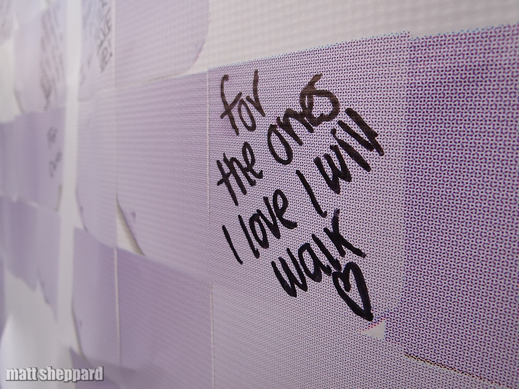 Stutsman Relay For Life 2015  -  CSi Photos Matt Sheppard.  More at Facebook